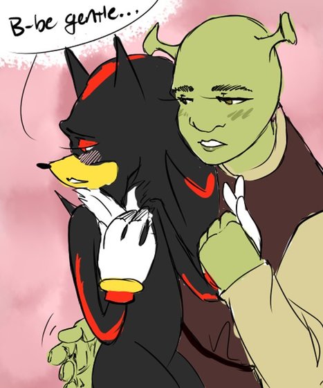 12 Solid Reasons Why Shrek And Shadow Fan Art Is Messed Up Digitiser